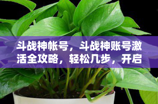 斗战神帐号，斗战神账号激活全攻略，轻松几步，开启你的冒险之旅
