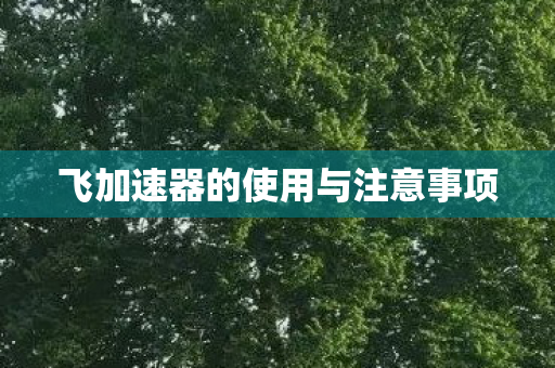飞加速器的使用与注意事项