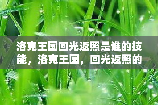 洛克王国回光返照是谁的技能，洛克王国，回光返照的奇迹