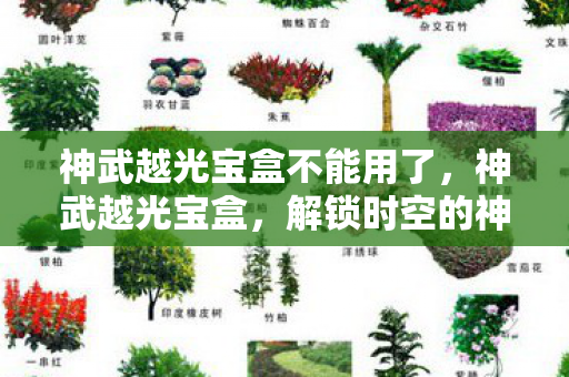 神武越光宝盒不能用了,神武越光宝盒,解锁时空的神秘钥匙 神武越光宝盒不能用了,神武越光宝盒,解锁时空的神秘钥匙