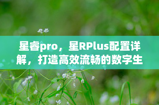 星睿pro，星RPlus配置详解，打造高效流畅的数字生活体验