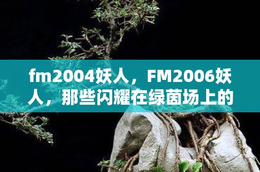 fm2004妖人，FM2006妖人，那些闪耀在绿茵场上的新星