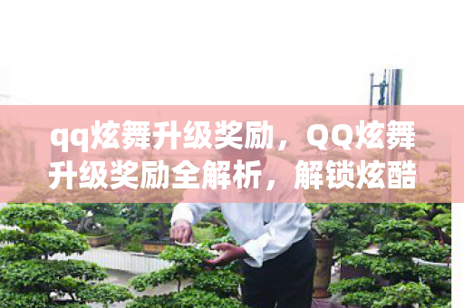 qq炫舞升级奖励，QQ炫舞升级奖励全解析，解锁炫酷奖励，提升游戏乐趣！