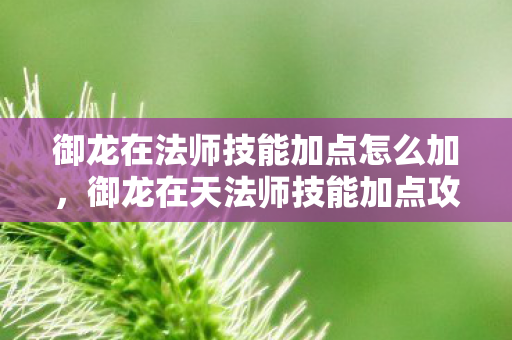 御龙在法师技能加点怎么加，御龙在天法师技能加点攻略