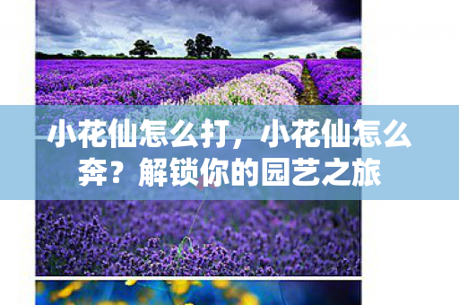 小花仙怎么打，小花仙怎么奔？解锁你的园艺之旅