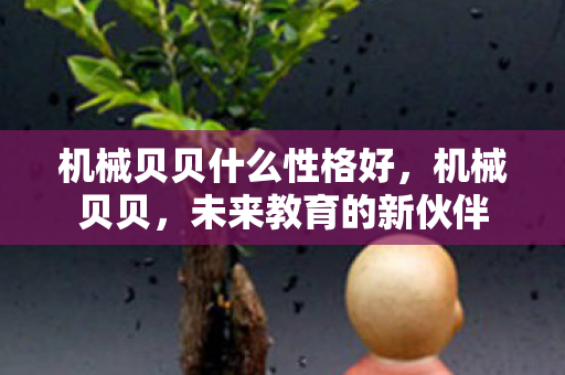 机械贝贝什么性格好，机械贝贝，未来教育的新伙伴