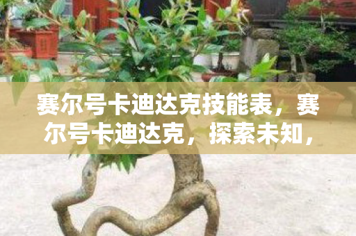 赛尔号卡迪达克技能表，赛尔号卡迪达克，探索未知，挑战极限