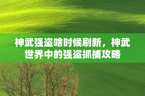 神武强盗啥时候刷新，神武世界中的强盗抓捕攻略