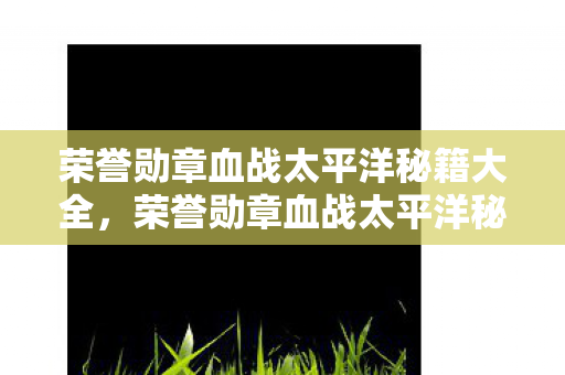 荣誉勋章血战太平洋秘籍大全,荣誉勋章血战太平洋秘籍,解锁战斗新境界 荣誉勋章血战太平洋秘籍大全,荣誉勋章血战太平洋秘籍,解锁战斗新境界