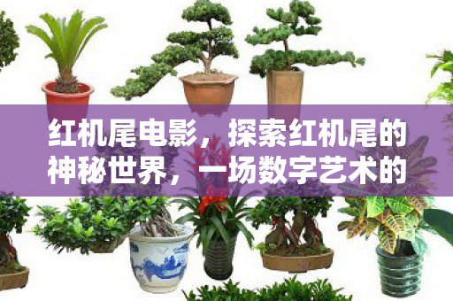 红机尾电影，探索红机尾的神秘世界，一场数字艺术的盛宴