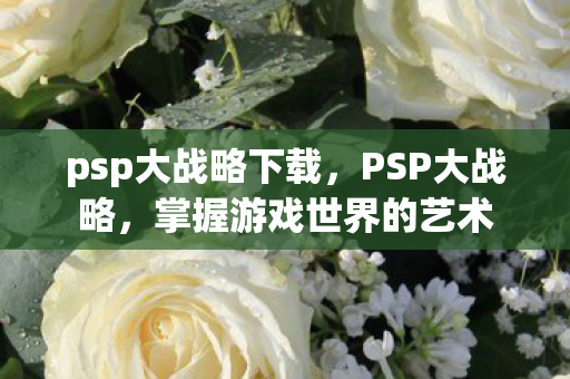 psp大战略下载，PSP大战略，掌握游戏世界的艺术