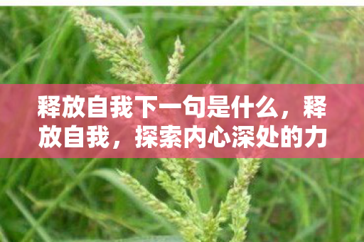 释放自我下一句是什么，释放自我，探索内心深处的力量