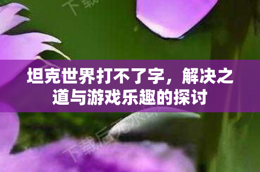 坦克世界打不了字，解决之道与游戏乐趣的探讨