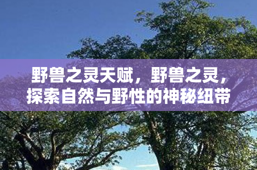 野兽之灵天赋，野兽之灵，探索自然与野性的神秘纽带