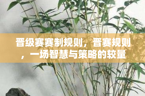 晋级赛赛制规则，晋赛规则，一场智慧与策略的较量