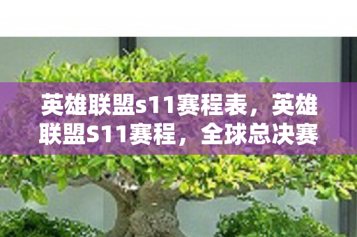 英雄联盟s11赛程表，英雄联盟S11赛程，全球总决赛的激情与期待