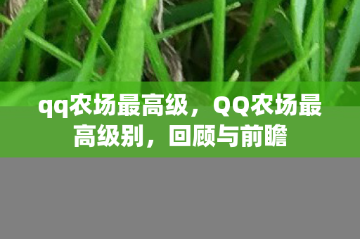 qq农场最高级，QQ农场最高级别，回顾与前瞻