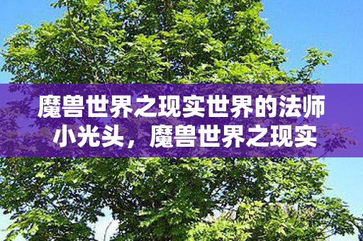魔兽世界之现实世界的法师 小光头，魔兽世界之现实世界的法师