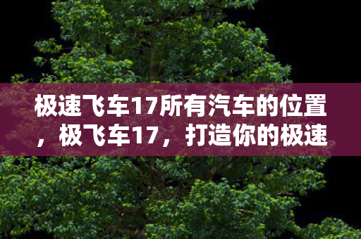 极速飞车17所有汽车的位置，极飞车17，打造你的极速之旅