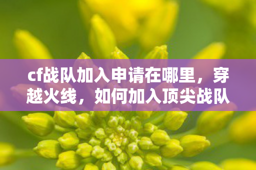 cf战队加入申请在哪里,穿越火线,如何加入顶尖战队,提升游戏实力 cf战队加入申请在哪里,穿越火线,如何加入顶尖战队,提升游戏实力