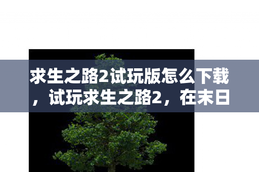 求生之路2试玩版怎么下载，试玩求生之路2，在末日中挣扎求生的惊险之旅