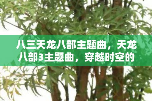 八三天龙八部主题曲，天龙八部3主题曲，穿越时空的武侠情怀