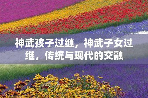 神武孩子过继，神武子女过继，传统与现代的交融