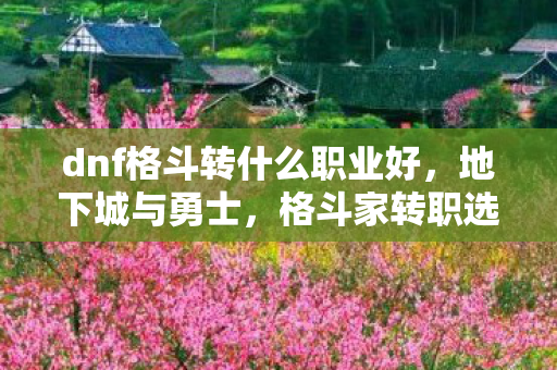 dnf格斗转什么职业好，地下城与勇士，格斗家转职选择指南