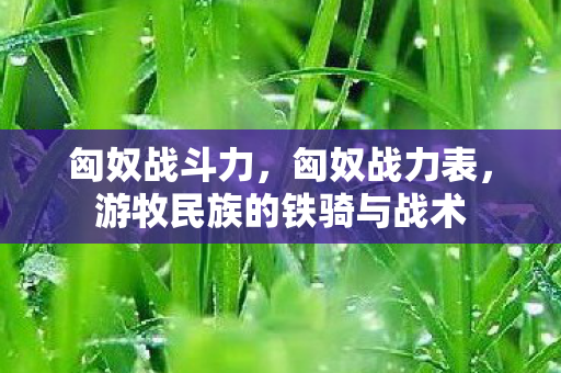 匈奴战斗力，匈奴战力表，游牧民族的铁骑与战术