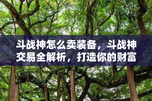 斗战神怎么卖装备，斗战神交易全解析，打造你的财富之路