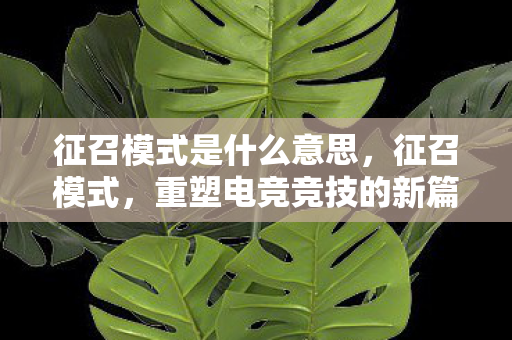 征召模式是什么意思，征召模式，重塑电竞竞技的新篇章