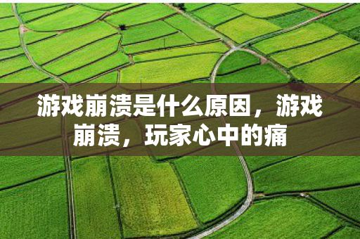 游戏崩溃是什么原因，游戏崩溃，玩家心中的痛