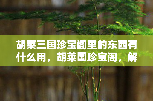 胡莱三国珍宝阁里的东西有什么用，胡莱国珍宝阁，解锁神秘宝藏的钥匙