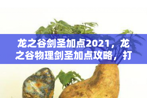 龙之谷剑圣加点2021，龙之谷物理剑圣加点攻略，打造最强近战输出