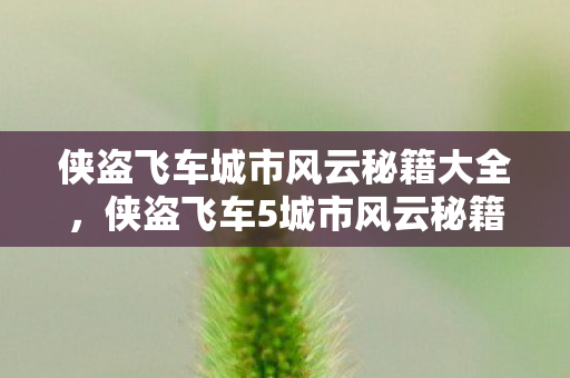 侠盗飞车城市风云秘籍大全，侠盗飞车5城市风云秘籍，解锁无限可能，畅游自由世界