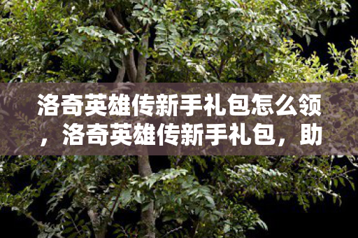 洛奇英雄传新手礼包怎么领，洛奇英雄传新手礼包，助你快速上手的必备指南