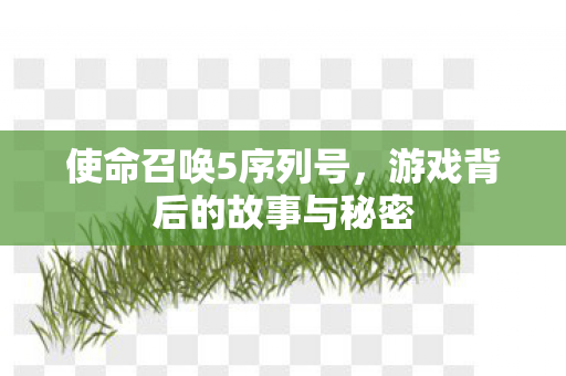 使命召唤5序列号，游戏背后的故事与秘密