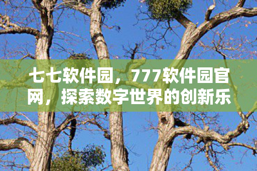 七七软件园，777软件园官网，探索数字世界的创新乐园