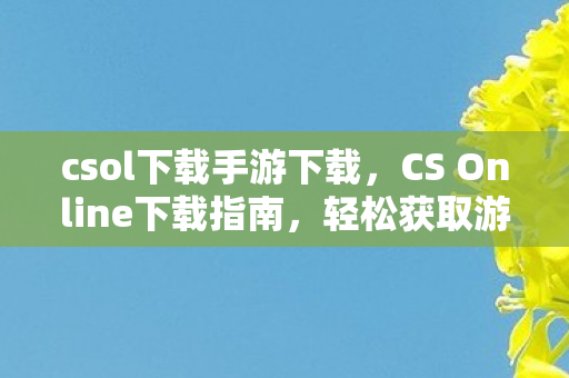csol下载手游下载，CS Online下载指南，轻松获取游戏资源