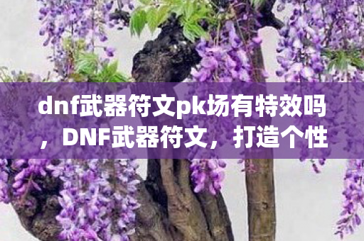 dnf武器符文pk场有特效吗，DNF武器符文，打造个性与力量的完美结合