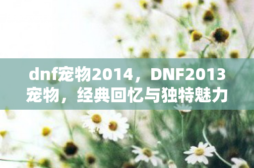 dnf宠物2014,DNF2013宠物,经典回忆与独特魅力 dnf宠物2014,DNF2013宠物,经典回忆与独特魅力