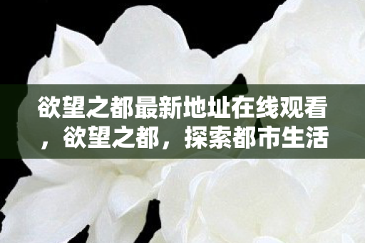 欲望之都最新地址在线观看，欲望之都，探索都市生活的另一面