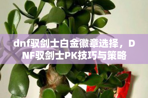 dnf驭剑士白金徽章选择,DNF驭剑士PK技巧与策略 dnf驭剑士白金徽章选择,DNF驭剑士PK技巧与策略
