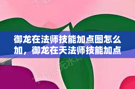 御龙在法师技能加点图怎么加，御龙在天法师技能加点图详解