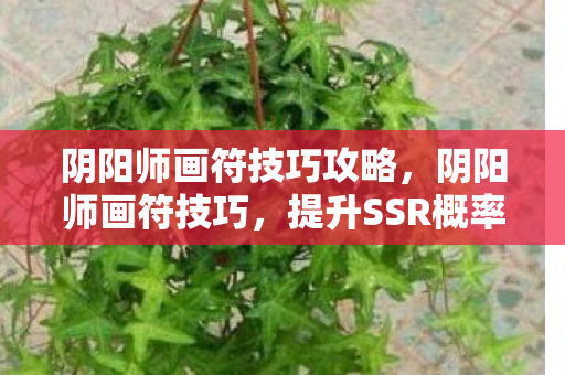 阴阳师画符技巧攻略，阴阳师画符技巧，提升SSR概率的玄学方法