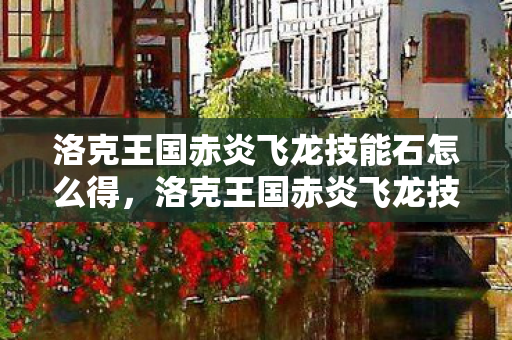 洛克王国赤炎飞龙技能石怎么得，洛克王国赤炎飞龙技能石，解锁神秘力量的钥匙