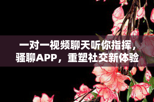 一对一视频聊天听你指挥，骚聊APP，重塑社交新体验