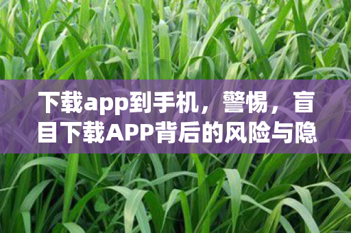 下载app到手机，警惕，盲目下载APP背后的风险与隐患