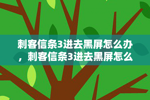 刺客信条3进去黑屏怎么办，刺客信条3进去黑屏怎么办？