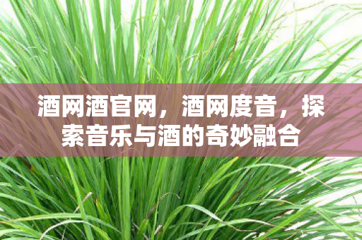 酒网酒官网，酒网度音，探索音乐与酒的奇妙融合